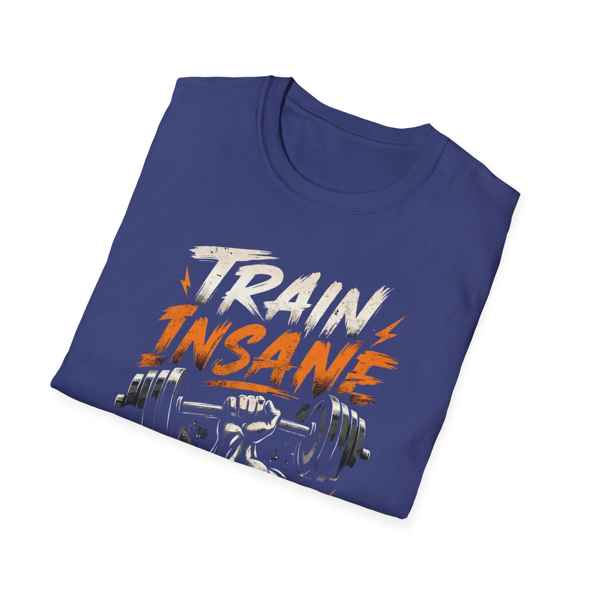 Train Insane Or Remain The Same T-shirt
