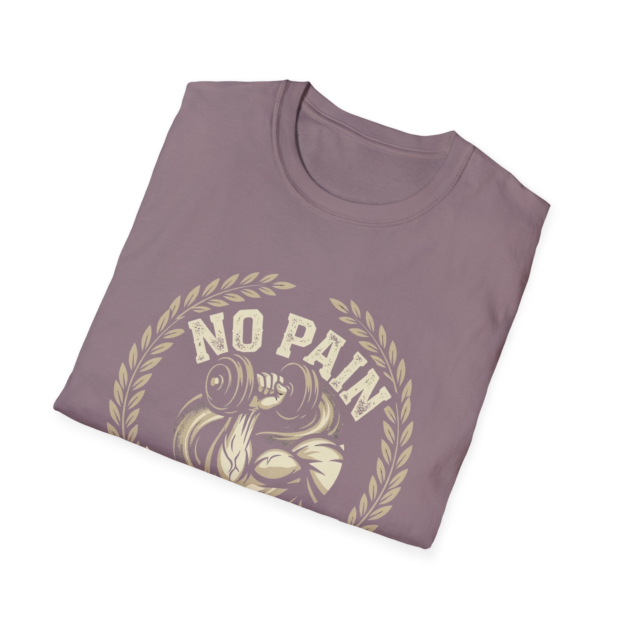 No Pain  No Gain T-shirt