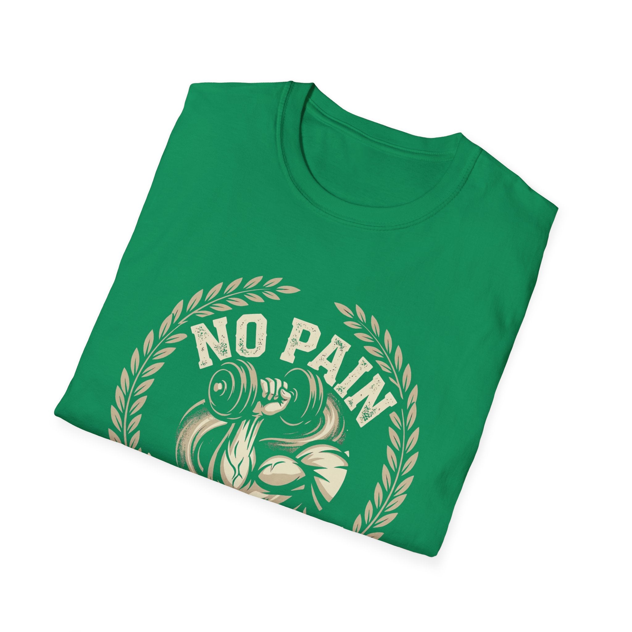 No Pain  No Gain T-shirt
